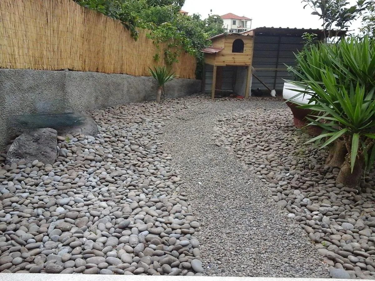 Cottage Quinze, Contemporary Designed Cottage With Swimming Pool بونتا ديلغادا
